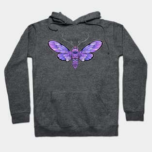 purple moth butterfly Hoodie